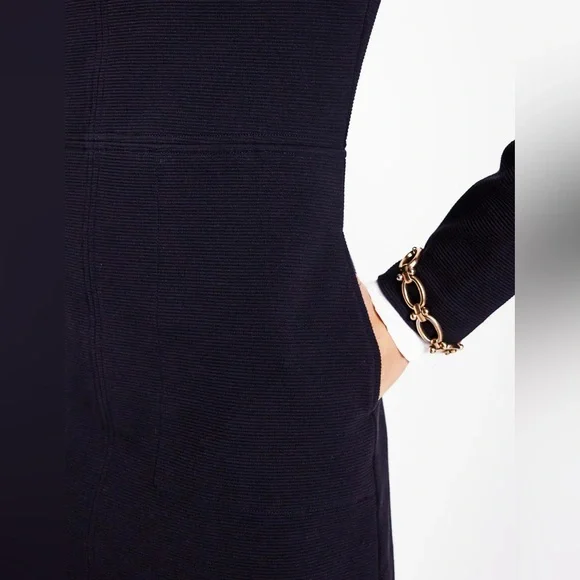 NWT Boden Cornelia Ottoman Dress - Picture 2 of 11